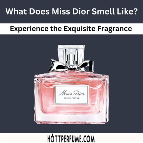 eau d argent dior|what does miss Dior smell like.